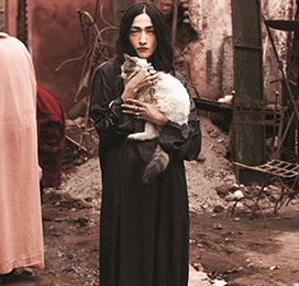 hindi-zahra